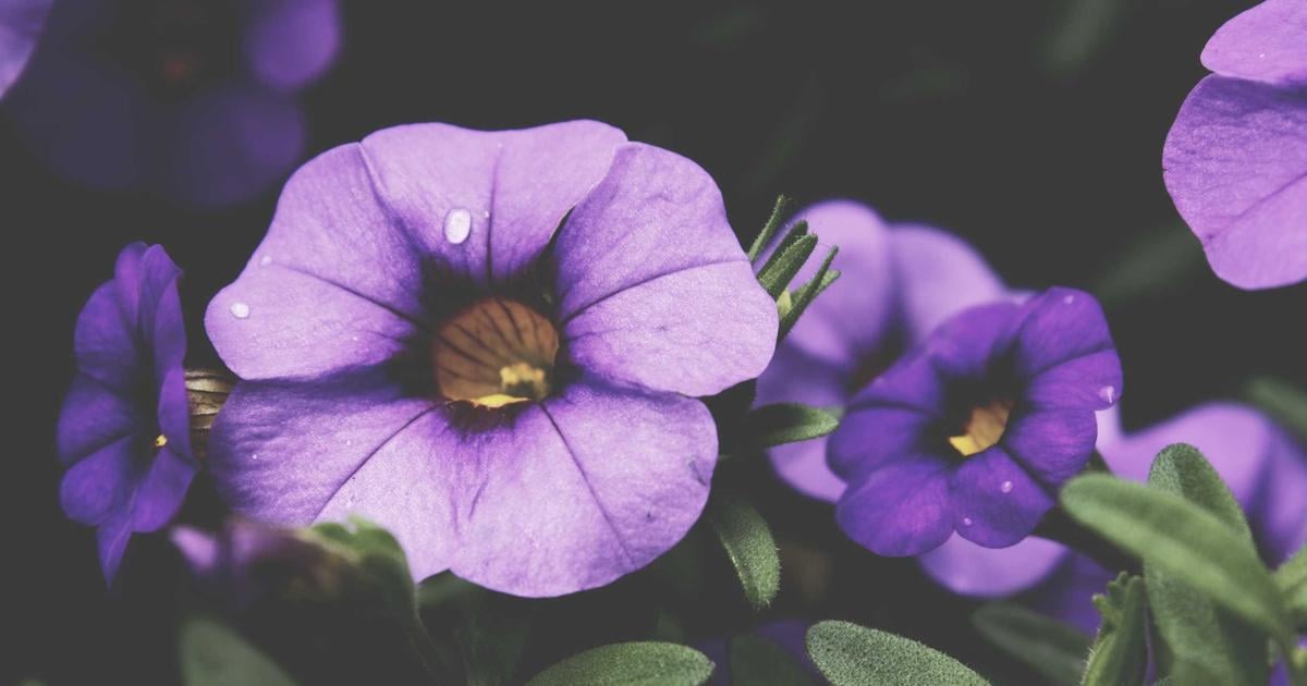 Copywriting para anúncios digitais que convertem